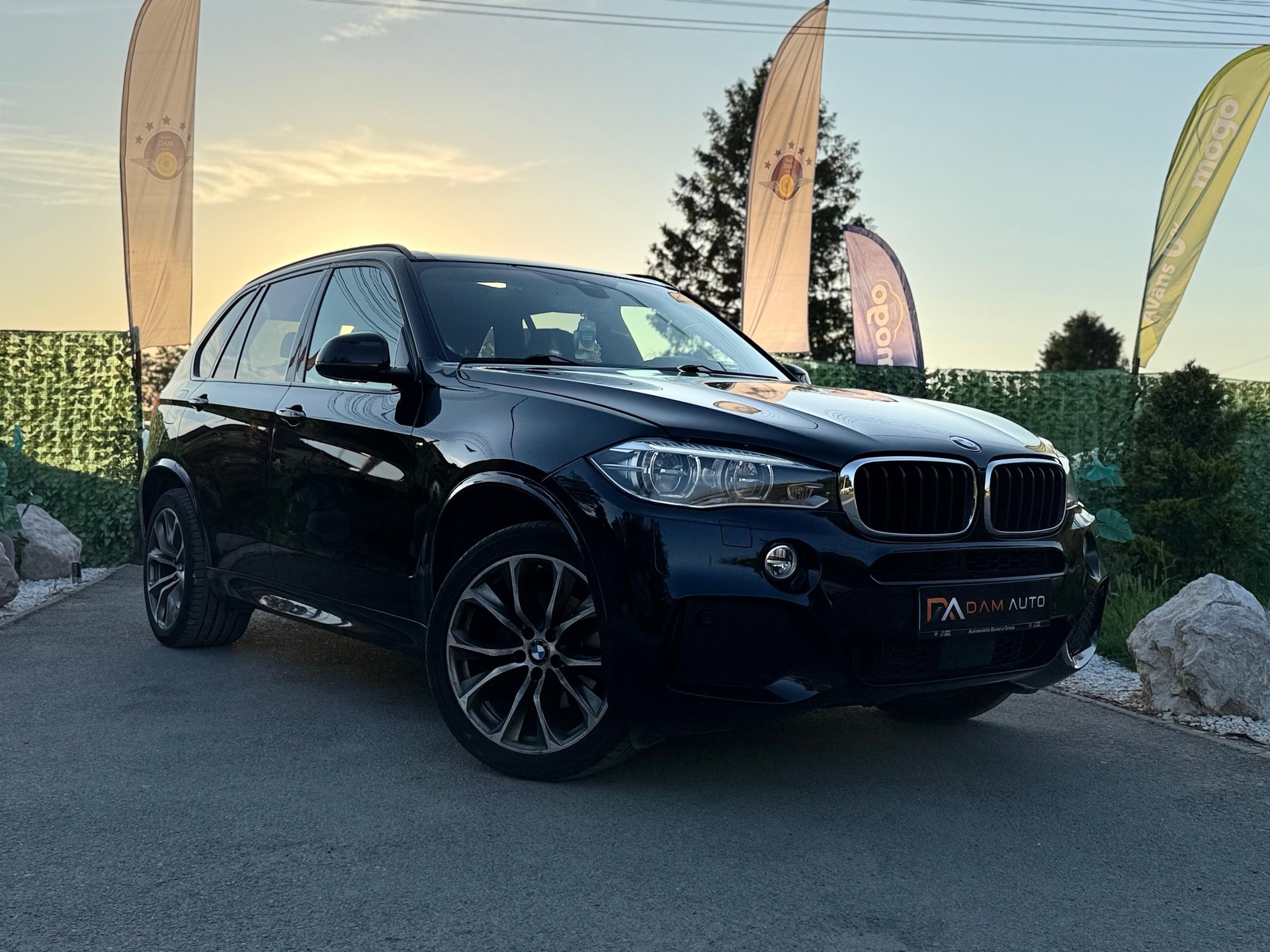 BMW  X5